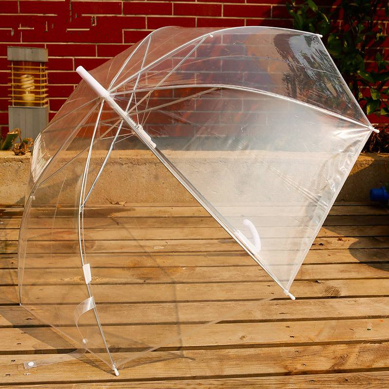 歐美系小清新透明雨傘 長柄傘 抗風抗雨透明傘 舞蹈傘道具傘